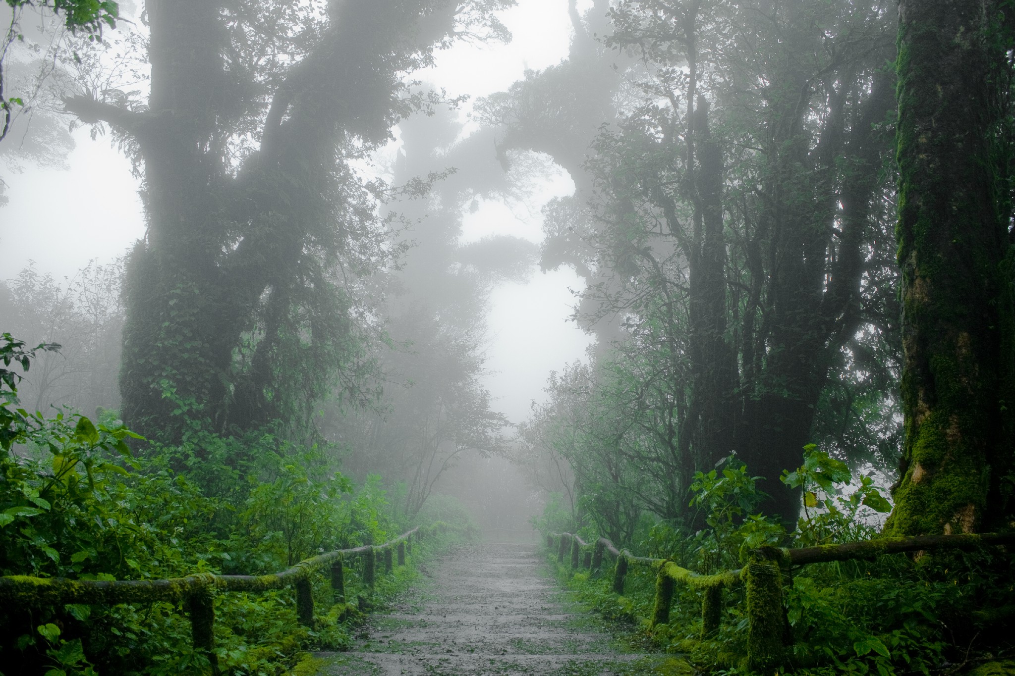 Doi Inthanon National Park, Chiang Mai, Thailand